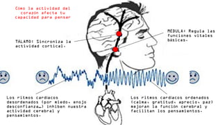 C mo la actividad deló
coraz n afecta tuó
capacidad para pensar
M DULA: Regula lasÉM DULA: Regula lasÉ
funciones vitalesfunciones vitales
b sicas.áb sicas.áT LAMO: Sincroniza laÁT LAMO: Sincroniza laÁ
actividad cortical.actividad cortical.
Los ritmos card acosíLos ritmos card acosí
desordenados (por miedo, enojodesordenados (por miedo, enojo
desconfianza…) inhiben nuestradesconfianza…) inhiben nuestra
actividad cerebral yactividad cerebral y
pensamientos.pensamientos.
Los ritmos card acos ordenadosíLos ritmos card acos ordenadosí
(calma, gratitud, aprecio, paz)(calma, gratitud, aprecio, paz)
mejoran la funci n cerebral yómejoran la funci n cerebral yó
facilitan los pensamientos.facilitan los pensamientos.
 