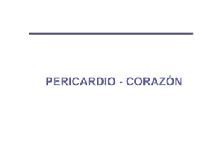 PERICARDIO - CORAZÓN
 