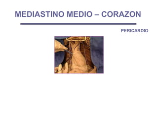 MEDIASTINO MEDIO – CORAZON
PERICARDIO
 