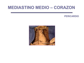 MEDIASTINO MEDIO – CORAZON
PERICARDIO
 