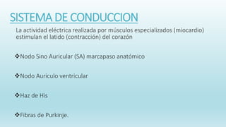 SISTEMA DE CONDUCCION
La actividad eléctrica realizada por músculos especializados (miocardio)
estimulan el latido (contracción) del corazón
Nodo Sino Auricular (SA) marcapaso anatómico
Nodo Auriculo ventricular
Haz de His
Fibras de Purkinje.
 