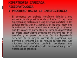 HIPERTROFIA CARDÍACA:
FISIOPATOLOGÍA
Y PROGRESO HACIA LA INSUFICIENCIA
 El aumento del trabajo mecánico debido a una
sobrecarga de presión o de volumen (p. ej., una
hipertensión sistémica o una estenosis aórtica) o las
señales tróficas (p. ej., aquellas en las que interviene
la activación de los receptores adrenérgicos ) hacen
que los miocitos aumenten de tamaño (hipertrofia);
su efecto acumulativo produce un incremento en el
tamaño y el peso del corazón .La hipertrofia
depende de la mayor síntesis de proteínas, que
permite el ensamblaje de nuevos sarcómeros. Los
miocitos hipertróficos también contienen una
cantidad más abundante de mitocondrias y unos
núcleos más grandes.
 