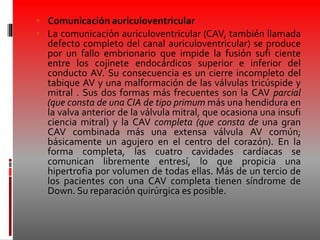  Comunicación auriculoventricular
 La comunicación auriculoventricular (CAV, también llamada
defecto completo del canal auriculoventricular) se produce
por un fallo embrionario que impide la fusión sufi ciente
entre los cojinete endocárdicos superior e inferior del
conducto AV. Su consecuencia es un cierre incompleto del
tabique AV y una malformación de las válvulas tricúspide y
mitral . Sus dos formas más frecuentes son la CAV parcial
(que consta de una CIA de tipo primum más una hendidura en
la valva anterior de la válvula mitral, que ocasiona una insufi
ciencia mitral) y la CAV completa (que consta de una gran
CAV combinada más una extensa válvula AV común;
básicamente un agujero en el centro del corazón). En la
forma completa, las cuatro cavidades cardíacas se
comunican libremente entresí, lo que propicia una
hipertrofia por volumen de todas ellas. Más de un tercio de
los pacientes con una CAV completa tienen síndrome de
Down. Su reparación quirúrgica es posible.
 