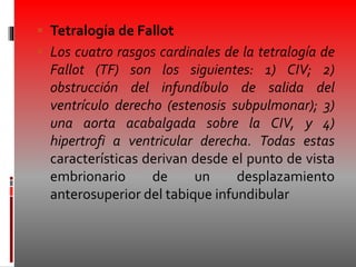  Tetralogía de Fallot
 Los cuatro rasgos cardinales de la tetralogía de
Fallot (TF) son los siguientes: 1) CIV; 2)
obstrucción del infundíbulo de salida del
ventrículo derecho (estenosis subpulmonar); 3)
una aorta acabalgada sobre la CIV, y 4)
hipertrofi a ventricular derecha. Todas estas
características derivan desde el punto de vista
embrionario de un desplazamiento
anterosuperior del tabique infundibular
 