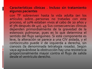  Características clínicas . Incluso sin tratamiento
algunos pacientes
 con TF sobreviven hasta la vida adulta (en los
artículos sobre…personas no tratadas con este
proceso, el 10% estaban vivos al cabo de 20 años y
el 3% después de 40). 49 Sus consecuencias clínicas
dependen primordialmente de la gravedad de la
estenosis pulmonar, pues es lo que determina el
sentido del flujo sanguíneo. Si este componente es
leve, la alteración se parece a una CIV aislada, y el
cortocircuito puede ir de izquierda a derecha, sin
cianosis (la denominada tetralogía rosada). Según
vaya agravándose la obstrucción hay una resistencia
proporcionalmente mayor contra el flujo de salida
desde el ventrículo derecho.
 