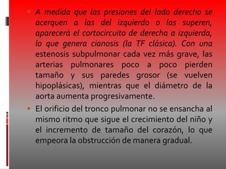  A medida que las presiones del lado derecho se
acerquen a las del izquierdo o las superen,
aparecerá el cortocircuito de derecha a izquierda,
lo que genera cianosis (la TF clásica). Con una
estenosis subpulmonar cada vez más grave, las
arterias pulmonares poco a poco pierden
tamaño y sus paredes grosor (se vuelven
hipoplásicas), mientras que el diámetro de la
aorta aumenta progresivamente.
 El orificio del tronco pulmonar no se ensancha al
mismo ritmo que sigue el crecimiento del niño y
el incremento de tamaño del corazón, lo que
empeora la obstrucción de manera gradual.
 