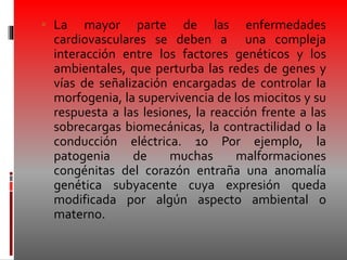  La mayor parte de las enfermedades
cardiovasculares se deben a una compleja
interacción entre los factores genéticos y los
ambientales, que perturba las redes de genes y
vías de señalización encargadas de controlar la
morfogenia, la supervivencia de los miocitos y su
respuesta a las lesiones, la reacción frente a las
sobrecargas biomecánicas, la contractilidad o la
conducción eléctrica. 10 Por ejemplo, la
patogenia de muchas malformaciones
congénitas del corazón entraña una anomalía
genética subyacente cuya expresión queda
modificada por algún aspecto ambiental o
materno.
 