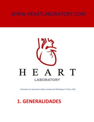 WWW.HEARTLABORATORY.COM
1. GENERALIDADES
Laboratorio de Anatomía Cardíaca, Instituto de Morfología J.J Naón, UBA
 