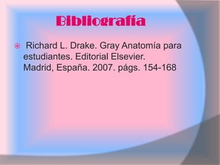 Bibliografía
   Richard L. Drake. Gray Anatomía para
    estudiantes. Editorial Elsevier.
    Madrid, España. 2007. págs. 154-168
 