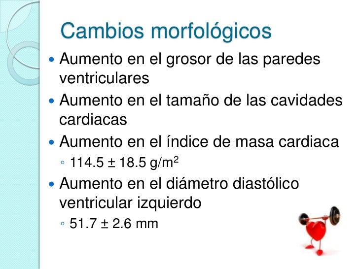 A mi hijo el muy pequeño miembro viril