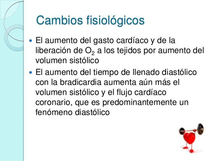 Que hacer para aumentar el miembro viril