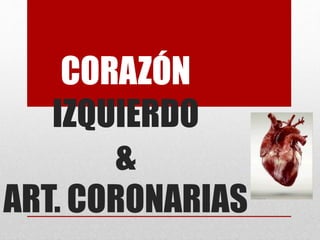 CORAZÓN
IZQUIERDO
&
ART. CORONARIAS
 