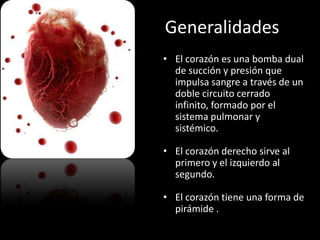 Generalidades
• El corazón es una bomba dual
de succión y presión que
impulsa sangre a través de un
doble circuito cerrado
infinito, formado por el
sistema pulmonar y
sistémico.
• El corazón derecho sirve al
primero y el izquierdo al
segundo.
• El corazón tiene una forma de
pirámide .

 