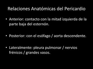 Relaciones Anatómicas del Pericardio
• Anterior: contacto con la mitad izquierda de la
parte baja del esternón.
• Posterior: con el esófago / aorta descendente.
• Lateralmente: pleura pulmonar / nervios
frénicos / grandes vasos.

 