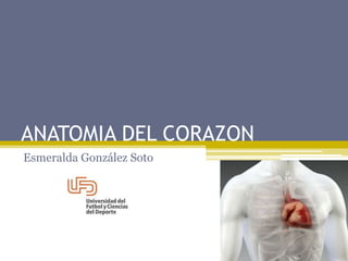 ANATOMIA DEL CORAZON
Esmeralda González Soto
 
