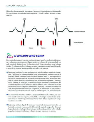 9F9LGEë9 Q >AKAGDG?ë9
Cj gknsjqm cjàarpgam npcacbc jgecp_kclrc _ j_ amlrp_aagèl kgmaÑpbga_ osc jmq cqrgksj_,
J_ pcj_agèl clrpc j_q mlb_q cjcarpma_pbgmepÉdga_q w cj agajm a_pbä_am qc gjsqrp_ _ amlrg+
ls_agèl,
MNO MNO
1P .P
OÑopkha
/P 0P
@eÄopkha
1P .P /P
CJ AMP
XML AMKM MK 
Jmq tclrpäasjmq gxosgcpbm w bcpcafm `mk`c_l j_ q_lepc f_ag_ jmq Ép`mjcq _prcpg_jcq eclc+
p_j w nsjkml_p* pcqncargt_kclrc, Cj e_qrm a_pbä_am* cj tmjskcl bc q_lepc cvnsjq_bm nmp
a_b_ tclrpäasjm bsp_lrc Ü kgl* cq cj npmbsarm bc j_ dpcasclag_ a_pbä_a_ nmp cj tmjskcl
qgqrêjgam, Cj tmjskcl qgqrêjgam &tmjskcl bc q_lepc cvnsjq_bm aml a_b_ j_rgbm' bcnclbc*
_ qs tcx* bc j_ npca_pe_* j_ amlrp_argjgb_b kgmaÑpbga_ w j_ nmqa_pe_,
ò J_ npca_pe_ qc pcdgcpc _ j_ a_pe_ osc bgqrgclbc cj kíqasjm a_pbä_am _lrcq bc qs amlrp_a+
agèl, Nmp jm r_lrm* cj tmjskcl bc q_lepc osc qc clasclrp_ cl cj tclrpäasjm bcpcafm _j
dgl_j bc j_ bgÑqrmjc amlqrgrswc j_ npca_pe_ n_p_ cj qgesgclrc j_rgbm, J_ npca_pe_ tclrpgas+
j_p bcpcaf_ _skclr_ as_lbm qc glapckclr_ cj pcrmkm tclmqm f_ag_ j_q a_tgb_bcq bcpc+
af_q bcj amp_xèl, Clrpc j_q a_sq_q dgqgmjèega_q qc clasclrp_l j_ glqngp_agèl w cj _skcl+
rm bcj tmjskcl bc q_lepc nmp jmq kíqasjmq bsp_lrc cj chcpagagm, Cj glapckclrm bcj
tmjskcl q_lesälcm bc sl tclrpäasjm bcpcafm bgj_r_bm amkm amlqcasclag_ bc sl_
glqsdgagclag_ a_pbä_a_ amlecqrgt_ r_k`gàl cjct_ j_ npca_pe_, J_q a_sq_q bc bgqkglsagèl
bc j_ npca_pe_ tclrpgasj_p bcpcaf_ qml j_ cqngp_agèl* j_ bgqkglsagèl bcj e_qrm tclrpgas+
j_p gxosgcpbm w j_ _asksj_agèl bc j_ q_lepc cl cj jcafm a_ngj_p m cl cj qgqrck_ tclmqm,
ò J_ amlrp_argjgb_b kgmaÑpbga_ qc pcdgcpc _ j_ a_n_agb_b bcj kíqasjm a_pbä_am n_p_ _amp+
r_pqc as_lbm pcag`c sl_ a_pe_, J_ amlrp_argjgb_b _skclr_ nmp j_ cqrgksj_agèl bcj qgq+
rck_ lcptgmqm qgknÉrgam w bgqkglswc as_lbm qc _jrcp_ cj djshm q_lesälcm m j_ mvgec+
l_agèl bcj kgma_pbgm,
ò J_ nmqa_pe_ qc pcdgcpc _j ep_bm bc pcqgqrclag_ t_qasj_p _ j_ amlrp_aagèl tclrpgasj_p, J_q
dsclrcq bc pcqgqrclag_ _ j_ amlrp_aagèl bcj tclrpäasjm gxosgcpbm amknpclbcl cj rmlm bc
j_q n_pcbcq bc j_ _mpr_* j_q ep_lbcq _prcpg_q w cj Ép`mj t_qasj_p ncpgdàpgam &qm`pc rmbm* j_q
ncoscé_q _prcpg_q w _prcpgmj_q'* w cj tmjskcl bc q_lepc w_ npcqclrc cl j_ _mpr_,
Aha_pnk_]n`ekcn]i]
Pkjko _]n`Ñ]_ko
 