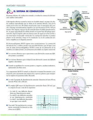 9F9LGEë9 Q >AKAGDG?ë9
5YAH OEOPAI= @A ?KJ@Q??EKJ
Cj qgqrck_ cjàarpgam bc amlbsaagèl cqrgksj_ w ammpbgl_ j_ amlrp_aagèl bcj kíq+
asjm a_pbä_am &kgma_pbgm',
A_b_ gknsjqm cjàarpgam lmpk_j qc glgag_ cl cj lmbsjm qglsq_j* sl epsnm bc aàjs+
j_q a_pbä_a_q cqncag_jgx_b_q osc qc qgrí_l cl j_ _späasj_ bcpcaf_* acpa_ bc j_
slgèl aml j_ tcl_ a_t_, Cj lmbsjm qglsq_j _arí_ amkm cj k_pa_n_qmq bcj amp_+
xèl w bcqa_pe_ _srmkÉrga_kclrc gknsjqmq aml sl_ dpcasclag_ bc 4. _ ÜŨŨ nmp
kglsrm, Cqrc gknsjqm tg_h_ nmp j_q bmq _späasj_q f_qr_ cj lmbsjm _spgasjmtclrpgas+
j_p* sl epsnm cqncag_jgx_bm bc aàjsj_q qgrs_bm cl j_ n_prc `_h_ bcj r_`gosc glrcp+
_spgasj_p, ?osä cj gknsjqm qsdpc sl_ bckmp_ _lrcq bc qcesgp nmp cj f_x bc Fgq w
qsq p_k_q f_qr_ cj kgma_pbgm tclrpgasj_p, J_ amlrp_aagèl ksqasj_p qc npmbsac
npgkcpm cl j_q _späasj_q w jscem cl jmq tclrpäasjmq, J_ tä_ bc amlbsaagèl lmp+
k_j qc qgknjgdga_ cl cj bg_ep_k_ _lrcpgmp,
Cj cjcarpma_pbgmep_k_ &CAE' pcegqrp_ cqrmq _amlrcagkgclrmq, J_ amlrp_aagèl
bcj kíqasjm jgqm m a_pbä_am npmbsac sl_ _argtgb_b cjàarpga_* osc b_ jse_p _ sl_
qcpgc bc mlb_q cjcarpma_pbgmepÉdga_q, Cj CAE amlqr_ bc qcgq bcpgt_agmlcq bc jmq
kgck`pmq cl cj nj_lm dpmlr_j w qcgq bcpgt_agmlcq npcampbg_jcq cl cj nj_lm rp_lqtcpq_j,
ò Jmq tcarmpcq cjàarpgamq osc qc _npmvgk_l _ sl_ bcpgt_agèl a_sq_l sl_ bcdjc+
vgèl nmqgrgt_ m _qaclbclrc,
ò Jmq tcarmpcq cjàarpgamq osc qc _jch_l bc sl_ bcpgt_agèl a_sq_l sl_ bcdjcvgèl
lce_rgt_ m bcqaclbclrc,
ò As_lbm qc cosgjg`p_l jmq tcarmpcq nmqgrgtm w lce_rgtm* pcqsjr_l gqmcjàarpgamq*
_n_pcagclbm sl_ jälc_ pcar_,
Oqlanekn
Jmq amknmlclrcq bcj CAE lmpk_j w qs bsp_agèl qc pcqskcl `pctckclrc _ aml+
rgls_agèl* ncpm lcacqgr_pÉl kÉq glqrpsaagèl w chcpagagm npÉargam n_p_ glrcpnpc+
r_p jmq pcegqrpmq bc n_agclrcq pc_jcq, Pcascpbc8
Lkopanekn
ò J_ mlb_ N ncoscé_ bc bcqnmj_pgx_agèl _spgasj_p &bsp_agèl bc f_qr_ 6. kq9
glrcpt_jm NP bc /0. _ 0.. kq',
ò Cj amknjchm OPQ k_wmp bc bcqnmj_pgx_agèl tclrpgasj_p &f_qr_ /.. kq'* osc
qc amknmlc bc slm m kÉq bc jmq qgesgclrcq8 @ana_d]
J_ mlb_ O* sl_ bcdjcvgèl bcqacl+
bclrc nmp bcqnmj_pgx_agèl qcnr_j,
J_ mlb_ P* sl_ bcdjcvgèl _qaclbcl+
rc nmp bcqnmj_pgx_agèl tclrpgasj_p,
J_ mlb_Q* sl_ bcdjcvgèl bcqaclbcl+
rc osc qgesc _ sl_ mlb_ P,
ò Sl_ mlb_ R bc pcnmj_pgx_agèl w pcasnc+
p_agèl tclrpgasj_p &j_ bsp_agèl qc pcj_+
agml_ aml cj OPQ',
g k g g C C @ d g O g g e g g g g C @ C I C q q q I î C B _ _ q q $ C _ q g k k k k g k g g g g g g g g g g g g g g g g g g g g g g g k k g
N]i]o ejpanjk`]hao
]jpanekn) ia`e]
u lkopanekn
Jk`qhk
]qne_qhkrajpne_qh]n
D]v `a Deo
B]o_Ñ_qhk
ejpan]qne_qh]n
N]i]
evmqean`]
+ J - gl
g ( 5 J *
N]i]
`ana_d]
@ANER=?EK J AO @A HKO I EAI >N K O7
LH=JK BNKJP=H
Evmqean`]
) T(
( R. ( R/ ( R0
@ANER=?EKJAO LNA?K N@E=HAO7
LH=JK PN= J ORAN O= H
 