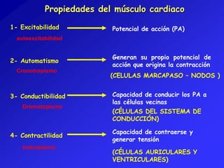 Propiedades del músculo cardiaco 
1- Excitabilidad 
autoexcitabilidad 
2- Automatismo 
Potencial de acción (PA) 
Cronotropismo 
3- Conductibilidad 
Dromotopismo 
4- Contractilidad 
Generan su propio potencial de 
acción que origina la contracción 
(CELULAS MARCAPASO – NODOS ) 
Capacidad de conducir los PA a 
las células vecinas 
(CÉLULAS DEL SISTEMA DE 
CONDUCCIÓN) 
Capacidad de contraerse y 
generar tensión 
(CÉLULAS AURICULARES Y 
VENTRICULARES) 
Inotropismo: 
 