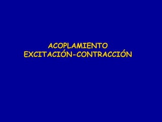 ACOPLAMIENTO 
EXCITACIÓN-CONTRACCIÓN 
 