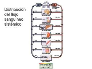 Distribución 
del flujo 
sanguíneo 
sistémico 
 