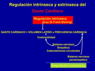 Regulación intrínseca y extrínseca del 
Gasto Cardíaco 
Regulación intrínseca 
(Ley de Frank-Starling) 
GASTO CARDIACO = VOLUMEN LATIDO x FRECUENCIA CARDIACA 
Contractilidad 
Sistema nervioso 
Simpático 
Catecolaminas circulantes 
Sistema nervioso 
parasimpático 
Regulación extrínseca 
 