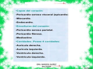 DRA. MARISOL NUÑEZ 
BALTAZAR 
 