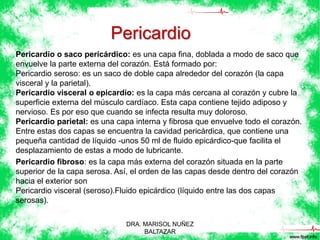 Pericardio 
Pericardio o saco pericárdico: es una capa fina, doblada a modo de saco que 
envuelve la parte externa del corazón. Está formado por: 
Pericardio seroso: es un saco de doble capa alrededor del corazón (la capa 
visceral y la parietal). 
Pericardio visceral o epicardio: es la capa más cercana al corazón y cubre la 
superficie externa del músculo cardíaco. Esta capa contiene tejido adiposo y 
nervioso. Es por eso que cuando se infecta resulta muy doloroso. 
Pericardio parietal: es una capa interna y fibrosa que envuelve todo el corazón. 
Entre estas dos capas se encuentra la cavidad pericárdica, que contiene una 
pequeña cantidad de líquido -unos 50 ml de fluido epicárdico-que facilita el 
desplazamiento de estas a modo de lubricante. 
Pericardio fibroso: es la capa más externa del corazón situada en la parte 
superior de la capa serosa. Así, el orden de las capas desde dentro del corazón 
hacia el exterior son 
Pericardio visceral (seroso).Fluido epicárdico (líquido entre las dos capas 
serosas). 
DRA. MARISOL NUÑEZ 
BALTAZAR 
 