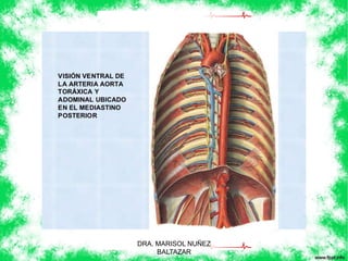 DRA. MARISOL NUÑEZ 
BALTAZAR 
 