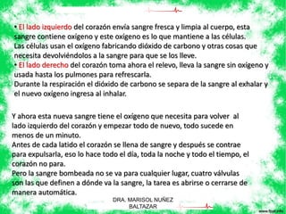 • El lado izquierdo del corazón envía sangre fresca y limpia al cuerpo, esta 
sangre contiene oxígeno y este oxígeno es lo que mantiene a las células. 
Las células usan el oxígeno fabricando dióxido de carbono y otras cosas que 
necesita devolviéndolos a la sangre para que se los lleve. 
• El lado derecho del corazón toma ahora el relevo, lleva la sangre sin oxígeno y 
usada hasta los pulmones para refrescarla. 
Durante la respiración el dióxido de carbono se separa de la sangre al exhalar y 
el nuevo oxígeno ingresa al inhalar. 
Y ahora esta nueva sangre tiene el oxígeno que necesita para volver al 
lado izquierdo del corazón y empezar todo de nuevo, todo sucede en 
menos de un minuto. 
Antes de cada latido el corazón se llena de sangre y después se contrae 
para expulsarla, eso lo hace todo el día, toda la noche y todo el tiempo, el 
corazón no para. 
Pero la sangre bombeada no se va para cualquier lugar, cuatro válvulas 
son las que definen a dónde va la sangre, la tarea es abrirse o cerrarse de 
manera automática. 
DRA. MARISOL NUÑEZ 
BALTAZAR 
 