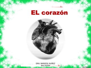EL corazón 
DRA. MARISOL NUÑEZ 
BALTAZAR 
 