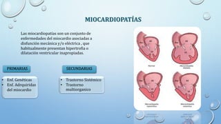 MIOCARDIOPATÍAS
Las miocardiopatías son un conjunto de
enfermedades del miocardio asociadas a
disfunción mecánica y/o eléctrica , que
habitualmente presentan hipertrofia o
dilatación ventricular inapropiadas.
• Enf. Genéticas
• Enf. Adrquiridas
del miocardio
• Trastorno Sistémico
• Trastorno
multiorganico
SECUNDARIAS
PRIMARIAS
 