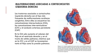 MALFORMACIONES ASOCIADAS A CORTOCIRCUITOS
IZQUIERDA-DERECHA
Los trastornos asociados a cortocircuitos
izquierda-derecha son el tipo más
frecuente de malformaciones cardiacas
congénitas. Entre ellos se encuentran las
comunicaciones interauriculares (CIA),
las comunicaciones interventriculares
(CIV) y el conducto arterioso persistente
(CAP)
En la CIA solo aumenta el volumen del
flujo en el ventrículo derecho y en el
tracto de salida pulmonar, mientras que
en la CIV y en el CAP se incrementan
tanto el flujo como la presión pulmonar.
 