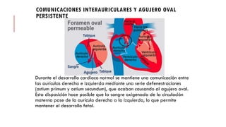 COMUNICACIONES INTERAURICULARES Y AGUJERO OVAL
PERSISTENTE
Durante el desarrollo cardíaco normal se mantiene una comunicación entre
las aurículas derecha e izquierda mediante una serie defenestraciones
(ostium primum y ostium secundum), que acaban causando al agujero oval.
Esta disposición hace posible que la sangre oxigenada de la circulación
materna pase de la aurícula derecha a la izquierda, lo que permite
mantener el desarrollo fetal.
 