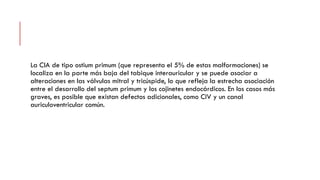 La ClA de tipo ostium primum (que representa el 5% de estas malformaciones) se
localiza en la parte más baja del tabique interauricular y se puede asociar a
alteraciones en las válvulas mitral y tricúspide, lo que refleja la estrecha asociación
entre el desarrollo del septum primum y los cojinetes endocárdicos. En los casos más
graves, es posible que existan defectos adicionales, como CIV y un canal
auriculoventricular común.
 