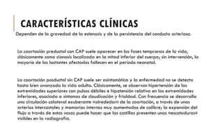 CARACTERÍSTICAS CLÍNICAS
Dependen de la gravedad de la estenosis y de la persistencia del conducto arterioso.
La coartación preductal con CAP suele aparecer en las fases tempranas de la vida,
clásicamente como cianosis localizada en la mitad inferior del cuerpo; sin intervención, la
mayoría de los lactantes afectados fallecen en el período neonatal.
La coartación posductal sin CAP suele ser asintomática y la enfermedad no se detecta
hasta bien avanzada la vida adulta. Clásicamente, se observan hipertensión de las
extremidades superiores con pulsos débiles e hipotensión relativa en las extremidades
inferiores, asociada a síntomas de claudicación y frialdad. Con frecuencia se desarrolla
una circulación colateral exuberante «alrededor» de la coartación, a través de unas
arterias intercostales y mamarias internas muy aumentadas de calibre; la expansión del
flujo a través de estos vasos puede hacer que las costillas presenten unas «escotaduras»
visibles en la radiografía.
 