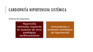 CARDIOPATÍA HIPERTENSIVA SISTÉMICA
Criterios de diagnostico:
Hipertrofia
ventricular izquierda
en ausencia de otras
patologías
cardiovasculares
Antecedentes o
evidencia patológica
de hipertensión
 