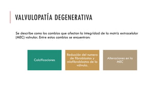 VALVULOPATÍA DEGENERATIVA
Se describe como los cambios que afectan la integridad de la matriz extracelular
(MEC) valvular. Entre estos cambios se encuentran:
Calcificaciones
Reducción del numero
de fibroblastos y
miofibroblastos de la
válvula.
Alteraciones en la
MEC
 