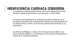 INSUFICIENCIA CARDIACA IZQUIERDA
La insuficiencia cardíaca puede afectar de forma predominante al lado
derecho o izquierdo del corazón o, en ocasiones, a ambos lados.
Las causas más frecuentes de la insuficiencia cardíaca izquierda son la
cardiopatía isquémica (CI), la hipertensión sistémica, las enfermedades de
la válvula aórtica o mitral y los trastornos primarios del miocardio (p. ej.,
amiloidosis).
Los efectos morfológicos y clínicos de la ICC izquierda se deben a una
menor perfusión sistémica y al incremento de las presiones retrógradas en
el seno de la circulación pulmonar.
 