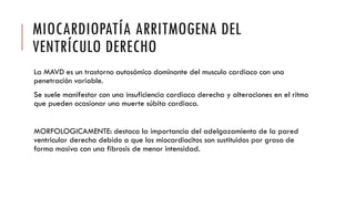 MIOCARDIOPATÍA ARRITMOGENA DEL
VENTRÍCULO DERECHO
La MAVD es un trastorno autosómico dominante del musculo cardiaco con una
penetración variable.
Se suele manifestar con una insuficiencia cardiaca derecha y alteraciones en el ritmo
que pueden ocasionar una muerte súbita cardiaca.
MORFOLOGICAMENTE: destaca la importancia del adelgazamiento de la pared
ventricular derecha debido a que los miocardiocitos son sustituidos por grasa de
forma masiva con una fibrosis de menor intensidad.
 