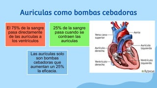 Auriculas como bombas cebadoras
El 75% de la sangre
pasa directamente
de las aurículas a
los ventrículos
25% de la sangre
pasa cuando se
contraen las
auriculas
Las aurículas solo
son bombas
cebadoras que
aumentan un 25%
la eficacia.
 