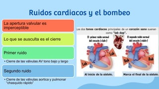 Ruidos cardiacos y el bombeo
La apertura valvular es
imperceptible
Lo que se ausculta es el cierre
Primer ruido
• Cierre de las válvulas AV tono bajo y largo
Segundo ruido
• Cierre de las válvulas aortica y pulmonar
“chasquido rápido”
 