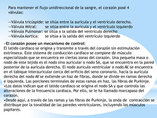 Para mantener el flujo unidireccional de la sangre, el corazón posé 4
válvulas:
--Válvula tricúspide: se sitúa entre la aurícula y el ventrículo derecho.
--Válvula Mitral: se sitúa entre la aurícula y el ventrículo izquierdo
--Válvula Pulmonar: se sitúa a la salida del ventrículo derecho
--Válvula Aortica: se sitúa a la salida del ventrículo izquierdo
~El corazón posee un mecanismo de control:
El latido cardiaco se origina y transmite a través del corazón sin estimulación
extrínseca. Este sistema de conducción cardiaco se compone de músculo
especializado que se encuentra en ciertas zonas del corazón. Una pequeña masa o
nodo de este tejido es el nodo sino auricular o nodo SA, que se encuentra en la pared
posterior de la aurícula derecha. El nodo auriculo ventricular o nodo AV
, se encuentra
en el tabique interauricular cerca del orificio del seno coronario, hacia la aurícula
derecha del nodo AV se extiende un haz de fibras, donde se divide en ramas derecha
e izquierda. Las porciones terminales de estas ramas en haz, las fibras de Purkinje.
•Los datos indican que el latido cardiaco se origina el nodo SA y que controla las
alteraciones de la frecuencia cardiaca. Por ello, se le ha llamado marcapaso del
corazón.
•Desde aquí, a través de las ramas y las fibras de Purkinje, la onda de contracción se
distribuye por la tonalidad de las paredes ventriculares, incluyendo los músculos
papilares.
 