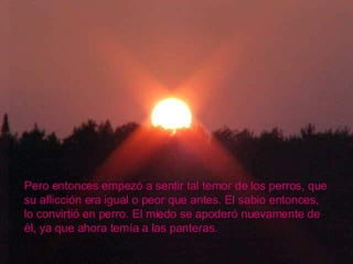 Pero entonces empezó a sentir tal temor de los perros, que su aflicción era igual o peor que antes. El sabio entonces, lo convirtió en perro. El miedo se apoderó nuevamente de él, ya que ahora temía a las panteras.  