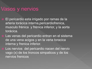  El pericardio esta irrigado por ramas de la
arteria torácica interna,pericardiofrenica,
musculo frénica y frénica inferior, y la aorta
torácica.
 Las venas del pericardio entran en el sistema
de una vena acigos y en la vena toracica
interna y frenica inferior.
 Los nervios del pericardio nacen del nervio
vago (x) de los troncos simpaticos y de los
nervios frenicos
 