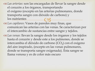 
 Las arterias: son las encargadas de llevar la sangre desde
el corazón a los órganos, transportando
el oxígeno (excepto en las arterias pulmonares, donde
transporta sangre con dióxido de carbono) y
los nutrientes
 Los capilares: Vasos de paredes muy finas, que
comunican las arterias con las venas. Se caracterizan por
el intercambio de sustancias entre sangre y tejidos.
 Las venas: llevan la sangre desde los órganos y los tejidos
hasta el corazón y desde este a los pulmones, donde se
intercambia el dióxido de carbono (CO2) con el oxígeno
del aire inspirado, (excepto en las venas pulmonares,
donde se transporta sangre oxigenada). Esta sangre se
llama venosa y es de color más oscuro
 