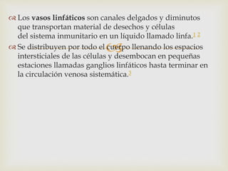 
 Los vasos linfáticos son canales delgados y diminutos
que transportan material de desechos y células
del sistema inmunitario en un líquido llamado linfa.1 2
 Se distribuyen por todo el cuerpo llenando los espacios
intersticiales de las células y desembocan en pequeñas
estaciones llamadas ganglios linfáticos hasta terminar en
la circulación venosa sistemática.3
 