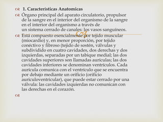 
 1. Características Anatomicas
 Órgano principal del aparato circulatorio, propulsor
de la sangre en el interior del organismo de la sangre
en el interior del organismo a través de
un sistema cerrado de canales: los vasos sanguíneos.
 Está compuesto esencialmente por tejido muscular
(miocardio) y, en menor proporción, por tejido
conéctivo y fibroso (tejido de sostén, válvulas y
subdividido en cuatro cavidades, dos derechas y dos
izquierdas, separadas por un tabique medial; las dos
cavidades superiores son llamadas aurículas; las dos
cavidades inferiores se denominan ventrículos. Cada
aurícula comunica con el ventrículo que se encuentra
por debajo mediante un orificio (orificio
auriculoventricular), que puede estar cerrado por una
válvula: las cavidades izquierdas no comunican con
las derechas en el corazón.

 