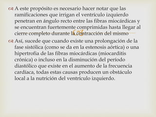 
 A este propósito es necesario hacer notar que las
ramificaciones que irrigan el ventrículo izquierdo
penetran en ángulo recto entre las fibras miocárdicas y
se encuentran fuertemente comprimidas hasta llegar al
cierre completo durante la contracción del mismo
 Así, sucede que cuando existe una prolongación de la
fase sistólica (como se da en la estenosis aórtica) o una
hipertrofia de las fibras miocárdicas (miocarditis
crónica) o incluso en la disminución del período
diastólico que existe en el aumento de la frecuencia
cardíaca, todas estas causas producen un obstáculo
local a la nutrición del ventrículo izquierdo.
 