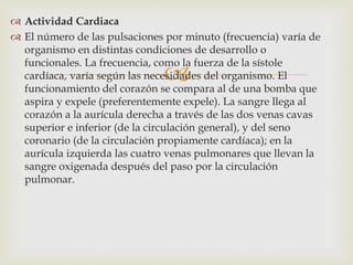 
 Actividad Cardiaca
 El número de las pulsaciones por minuto (frecuencia) varía de
organismo en distintas condiciones de desarrollo o
funcionales. La frecuencia, como la fuerza de la sístole
cardíaca, varía según las necesidades del organismo. El
funcionamiento del corazón se compara al de una bomba que
aspira y expele (preferentemente expele). La sangre llega al
corazón a la aurícula derecha a través de las dos venas cavas
superior e inferior (de la circulación general), y del seno
coronario (de la circulación propiamente cardíaca); en la
aurícula izquierda las cuatro venas pulmonares que llevan la
sangre oxigenada después del paso por la circulación
pulmonar.
 