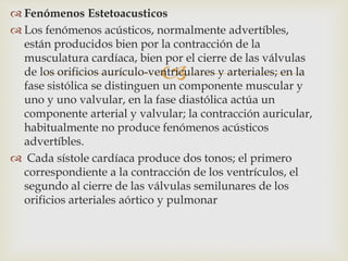 
 Fenómenos Estetoacusticos
 Los fenómenos acústicos, normalmente advertíbles,
están producidos bien por la contracción de la
musculatura cardíaca, bien por el cierre de las válvulas
de los orificios aurículo-ventriculares y arteriales; en la
fase sistólica se distinguen un componente muscular y
uno y uno valvular, en la fase diastólica actúa un
componente arterial y valvular; la contracción auricular,
habitualmente no produce fenómenos acústicos
advertíbles.
 Cada sístole cardíaca produce dos tonos; el primero
correspondiente a la contracción de los ventrículos, el
segundo al cierre de las válvulas semilunares de los
orificios arteriales aórtico y pulmonar
 